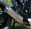11GSX-R W pro stock