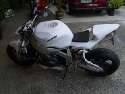 k-RIMG0005